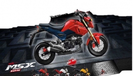 Xe khỉ Honda MSX 125cc thêm tông mầu vui nhộn mới